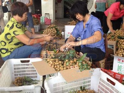 桂圓烘干工藝